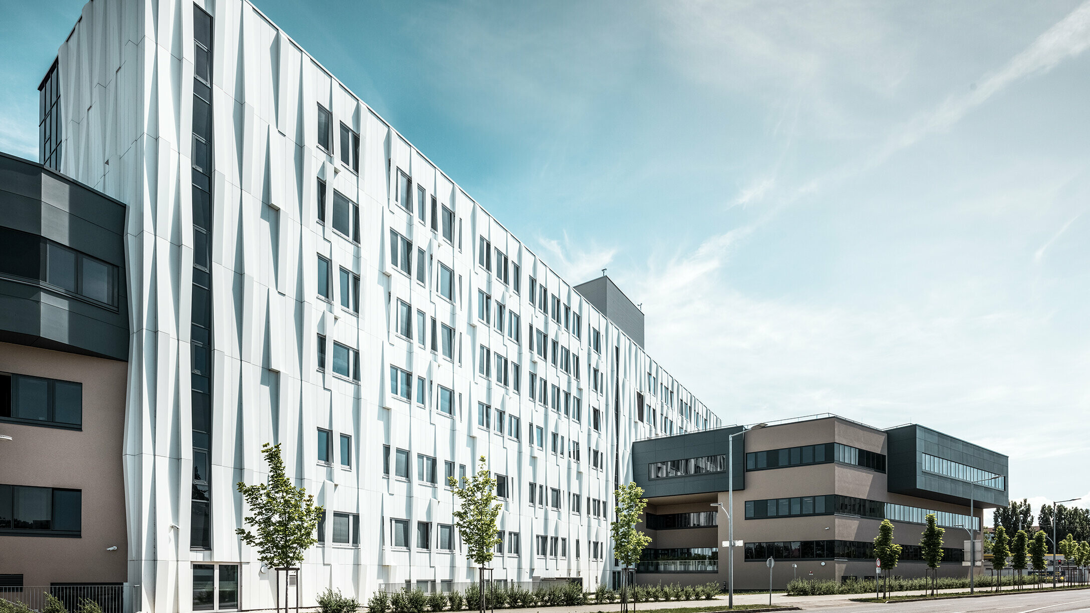 Lateral view of the University hospital. A street with some trees can be seen in the foreground.